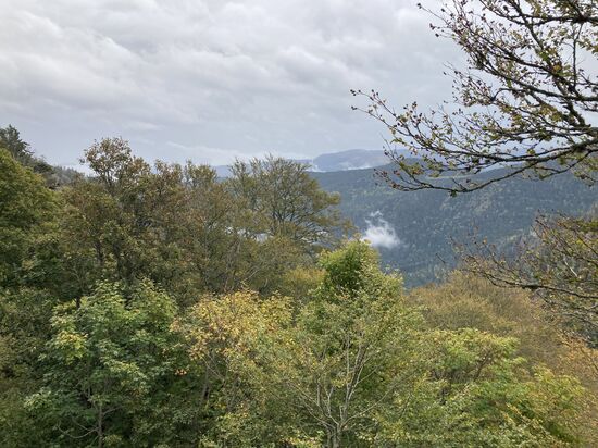 44 daher der Name - am Col de la Schlucht