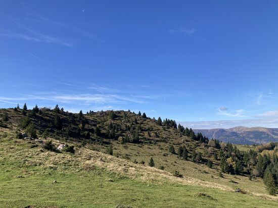 47 Nordauffahrt zum Petit Ballon - 1.163 m ü NN