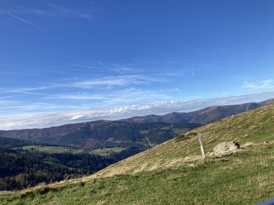 48 Petit Ballon - Abfahrt nach NW in Richtung Sondernach
