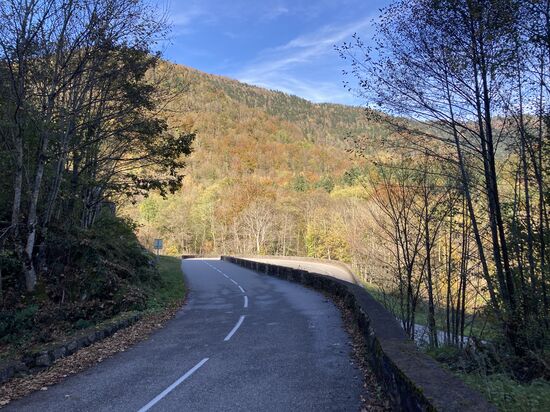 50 vom Col dÁlsace auf der D466 nach Sewen - eine meiner Lieblingsstrecken