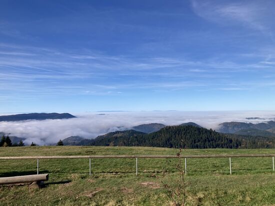 52 keine Aussicht am Roßbühl am 26.10.2024