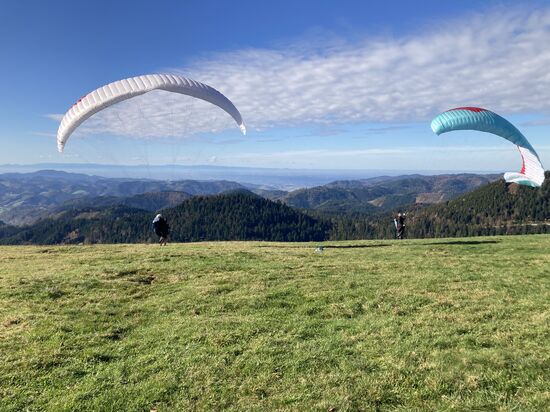 55 Roßbühl am 28.10.24 - jetzt ist es durchsichtig und die Drachen wollen hoch