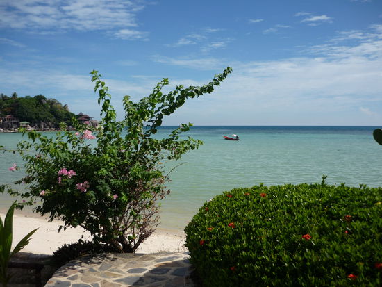 Aussicht vom Pool...