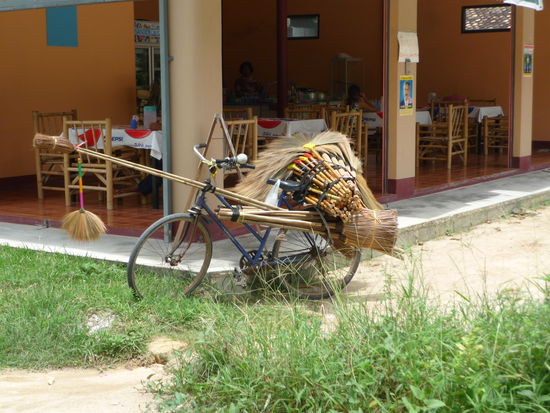 Das (Jung-) Unternehmen auf einen Blick!