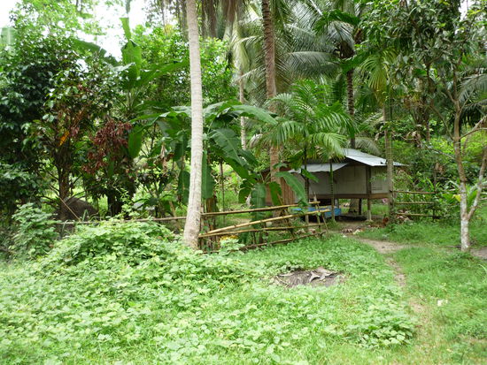 Hier eine Gesamtschau des Objektes. Mit der Sparkasse haben wir schon gesprochen. Die hat gruenes Licht gegeben 