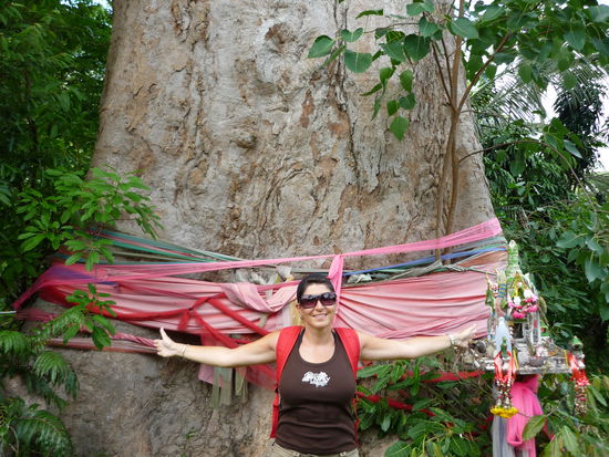 Der zweitgroesste Baum (ca. 14m hoch und keine Ahnung wie breit)