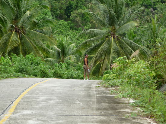 ... und weiter geht's...