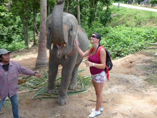Ein Elefantenbaby (7 Jahre).. hat aber gereicht um Respekt zu bekommen...