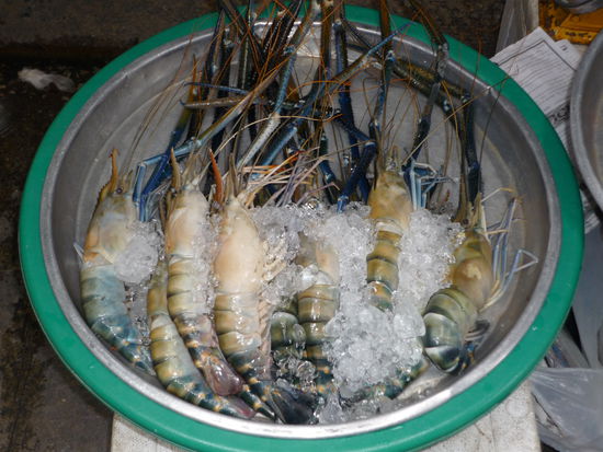 Ein Foto extra fuer Dennis 