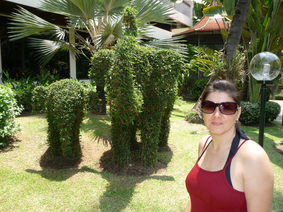 Und Elefanten haben wir auch schon gesehen 