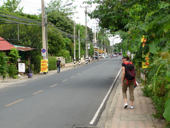 Auf dem Weg zu den Tempelanlagen...