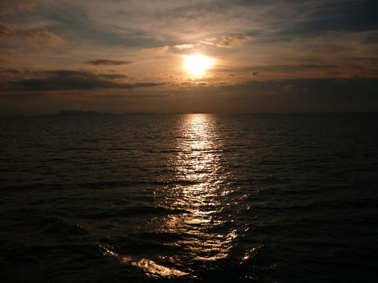 Sowas Schoenes sieht man auf der Faehrfahrt!