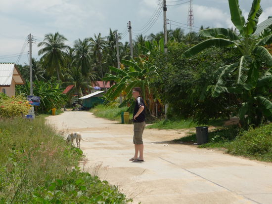 Der Weg in den Ort (unser Freund "Hund" begleitet uns)...