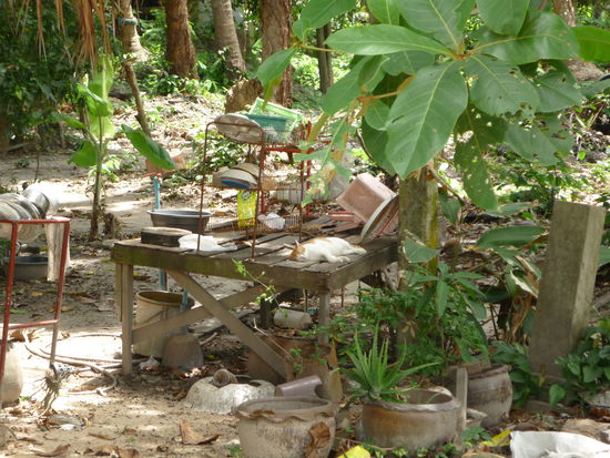 Auf dem Weg begegnet uns aber "Mr. Crepe" - verhungern muss man nicht, aber ob man hier was essen moechte?!