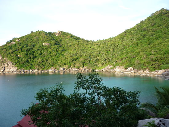 Aussicht vom Balkon...