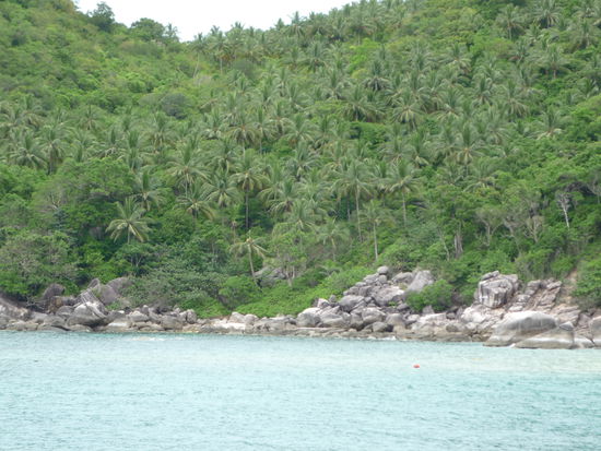 ... in die traumhafte Bucht...