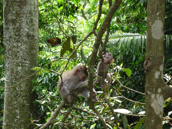 Die waren noch suess...