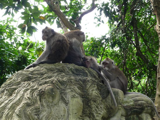 Einer von denen hat mich beschissen!