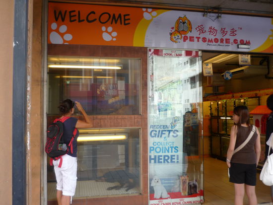 Die Tierhandlung - am liebsten haetten wir alle Hunde mitgenommen.