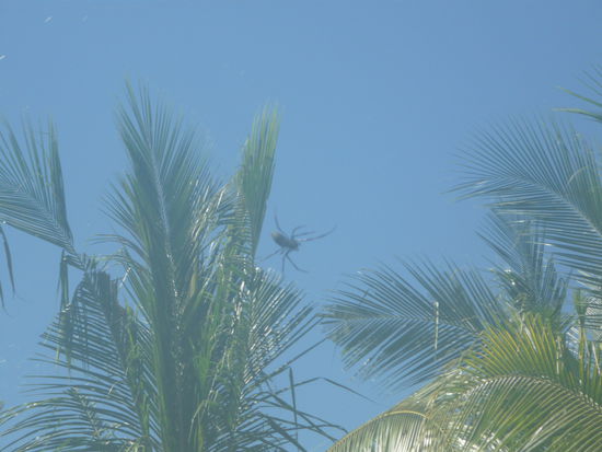 In der Realitaet war sie viel groesser!