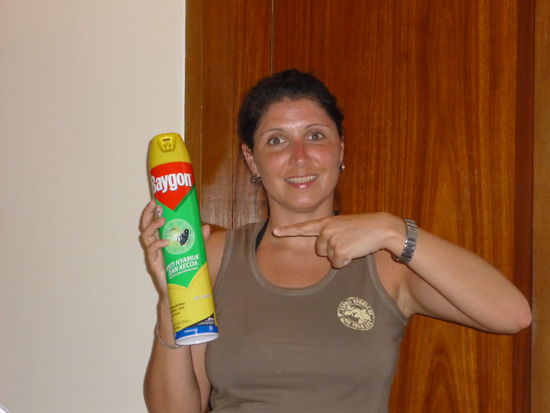 Darf ich vorstellen: Baygon! Mein treuer Beschuetzer vor Muecken und anderem stechenden Tieren auf der Toilette und unter der Dusche 