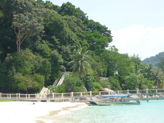 Hier die Bruecke, auf welcher der Spinnenangriff stattgefunden hat.
