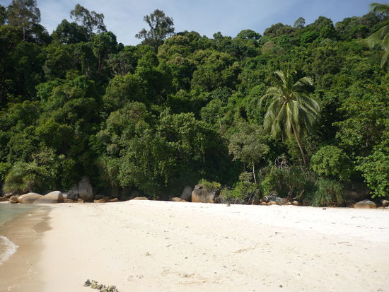 Vom Meer kann man direkt in den Urwald wandern - wobei das noch die harmlose Variante ist =)