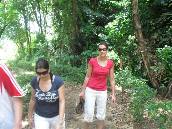 Durch den Dschungel...