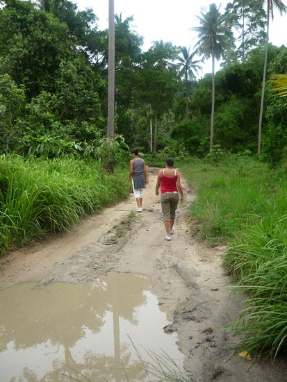 durch den Dschungel...