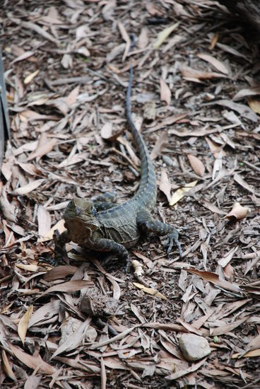 Ist der Kleine nicht süüüß? 