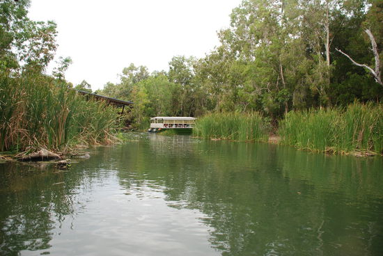 Mit dem Boot in der Krokodilslagune