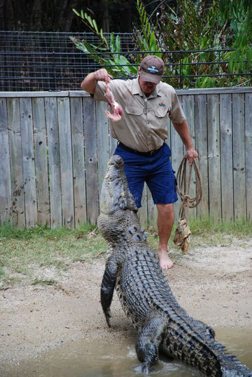 Dass sich der das traut...