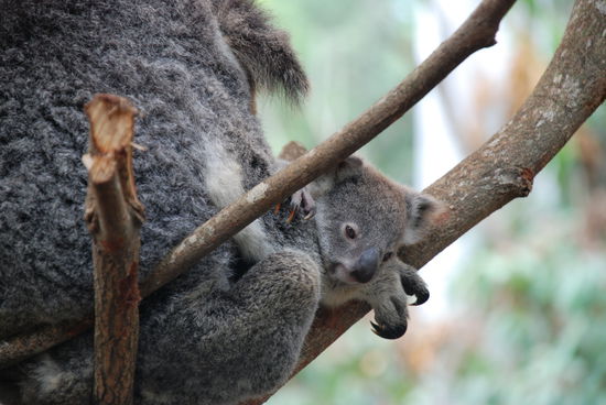 Was beruhigendes zum Abschluss... 