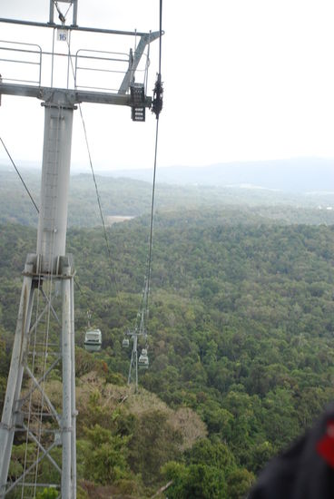 Runter geht´s mit der Skyrail