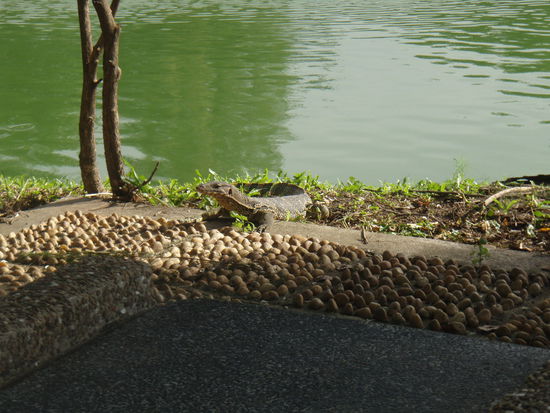 Ja, wer kommt denn da zu uns?? 