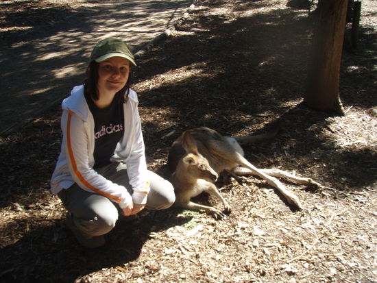 Mein erstes Känguruh!!