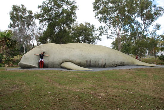 Was macht der Wal denn da mitten im Unkraut?? 