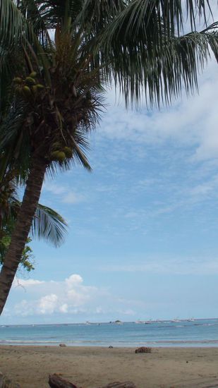 Der Strand ist einfach super!!