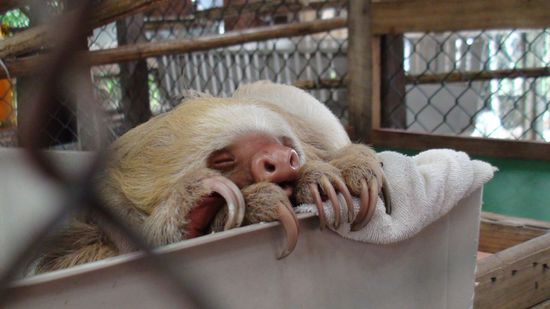 Ist der nicht sueeeess? 