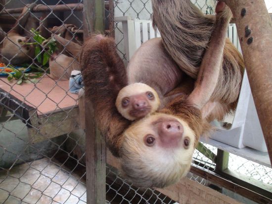 Sind die 2 nicht goldig