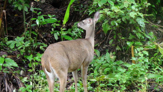 Gleich nach dem Eingang lief es mir ueber den Weg!