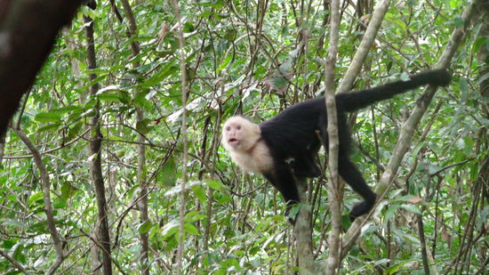 Ist der nicht sueeeess? 