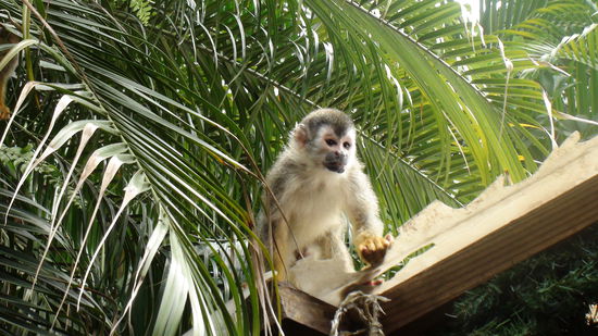 Auf dem Dach vom Hostel 