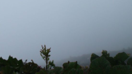 Tja, unsere Sicht auf den Krater... 