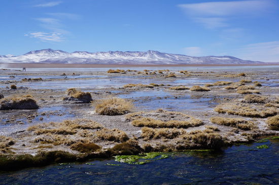 Bei den Thermalquellen: was für ein Ausblick!