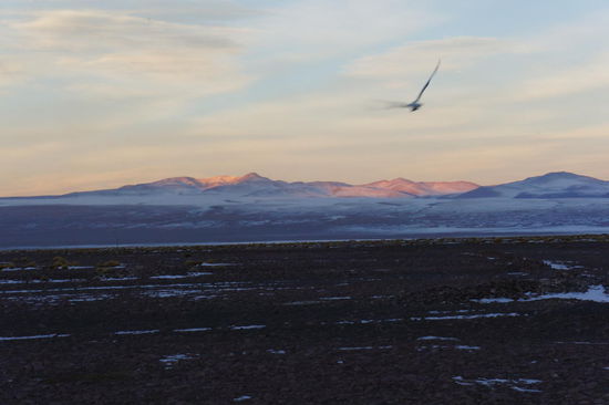 Abendstimmung auf dem Altiplano