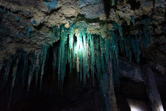 Don't touch, bei der Farbe definitiv giftig!