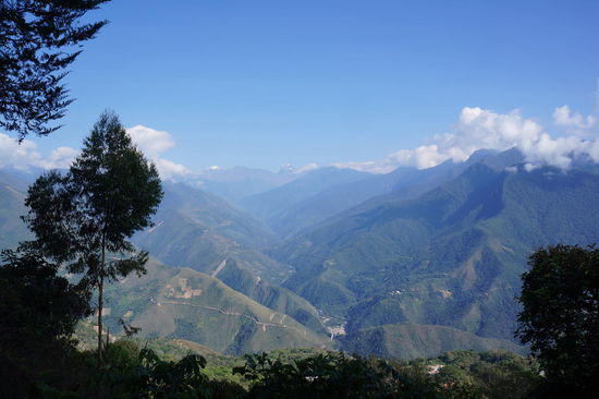the Yungas