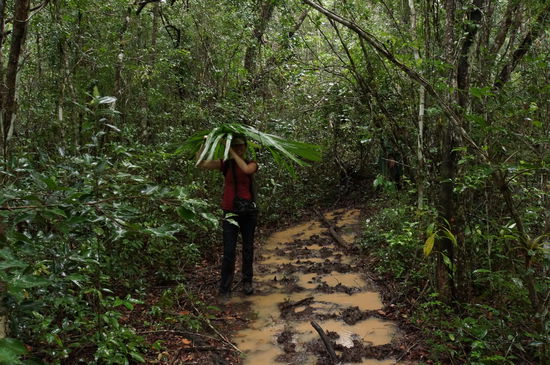 Matsch und Wasser soweit das Auge reicht!