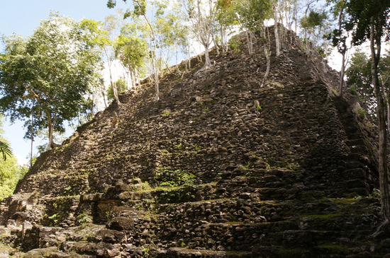 La Danta mit 77 Metern die höchste Mayapyramide